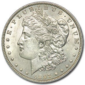 1897 Morgan Dollar BU (VAM-6A, Pitted Rev, Top-100)