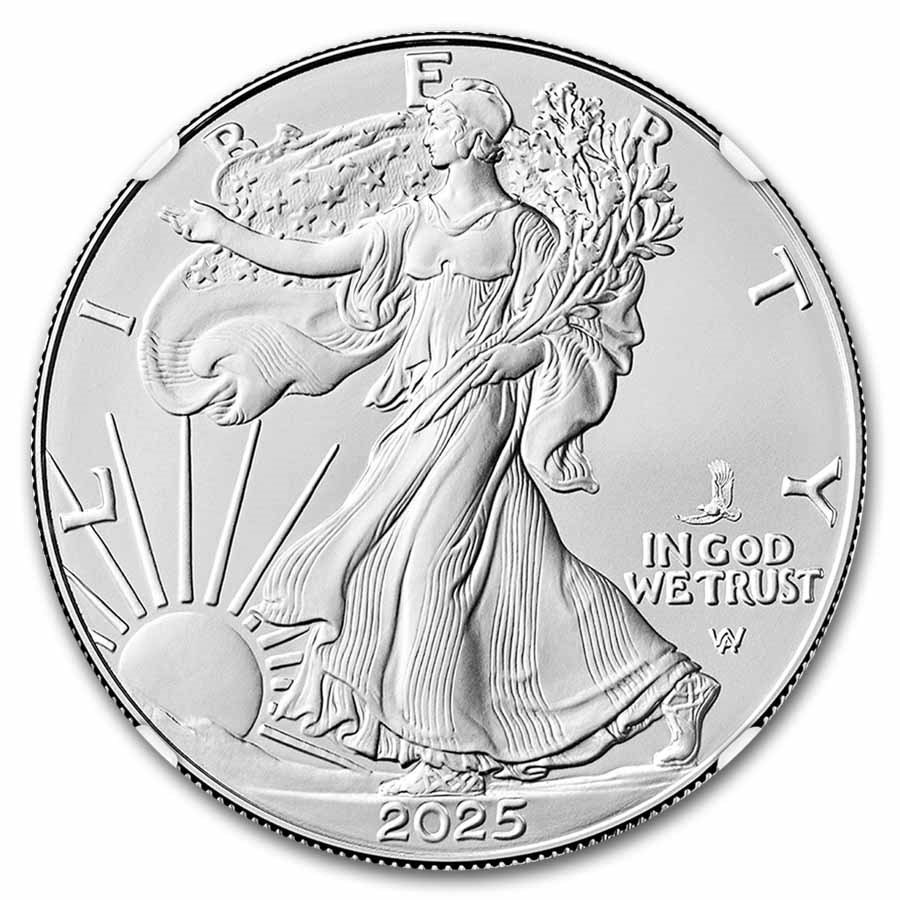 2025-(P) American Silver Eagle (Eagle Privy) MS-70 NGC (ER)