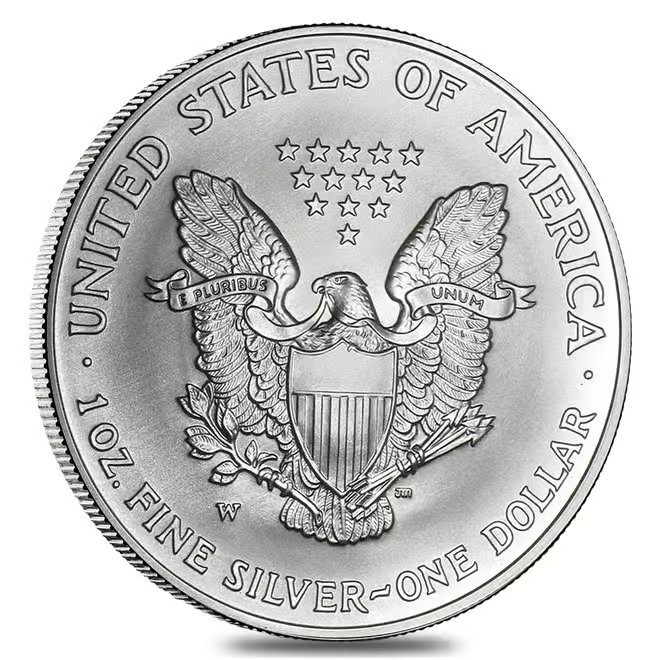 2007-W 1 oz Burnished Silver American Eagle (w/Box & COA)