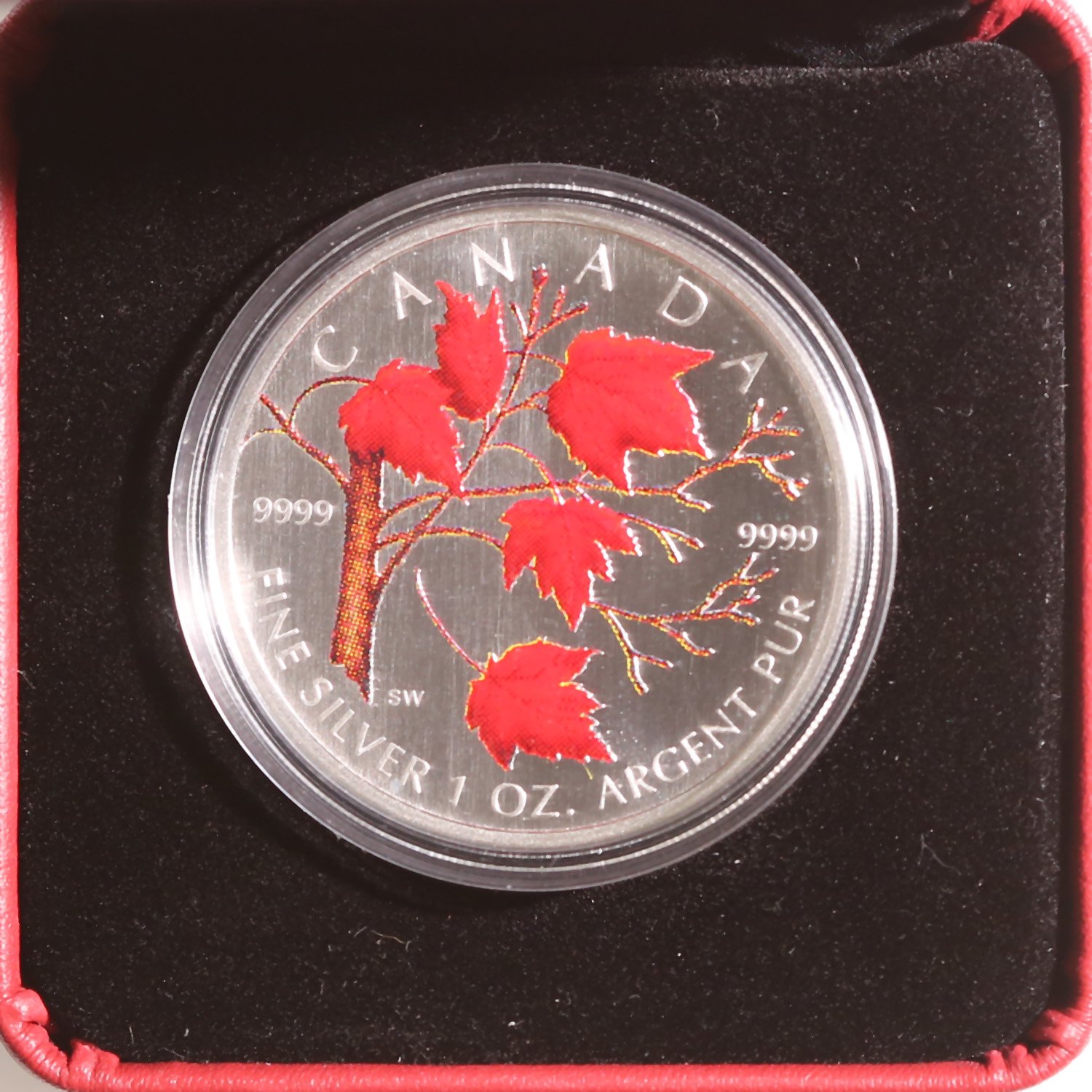 Canada 1 Ounce Silver Maple Leaf 2004 Colorized