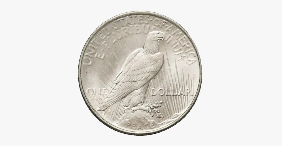 1925 P Peace Silver Dollar